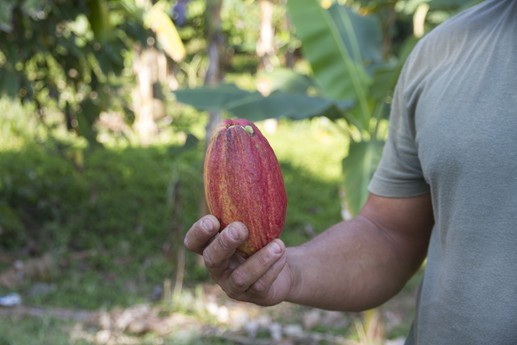 Cuba 2014